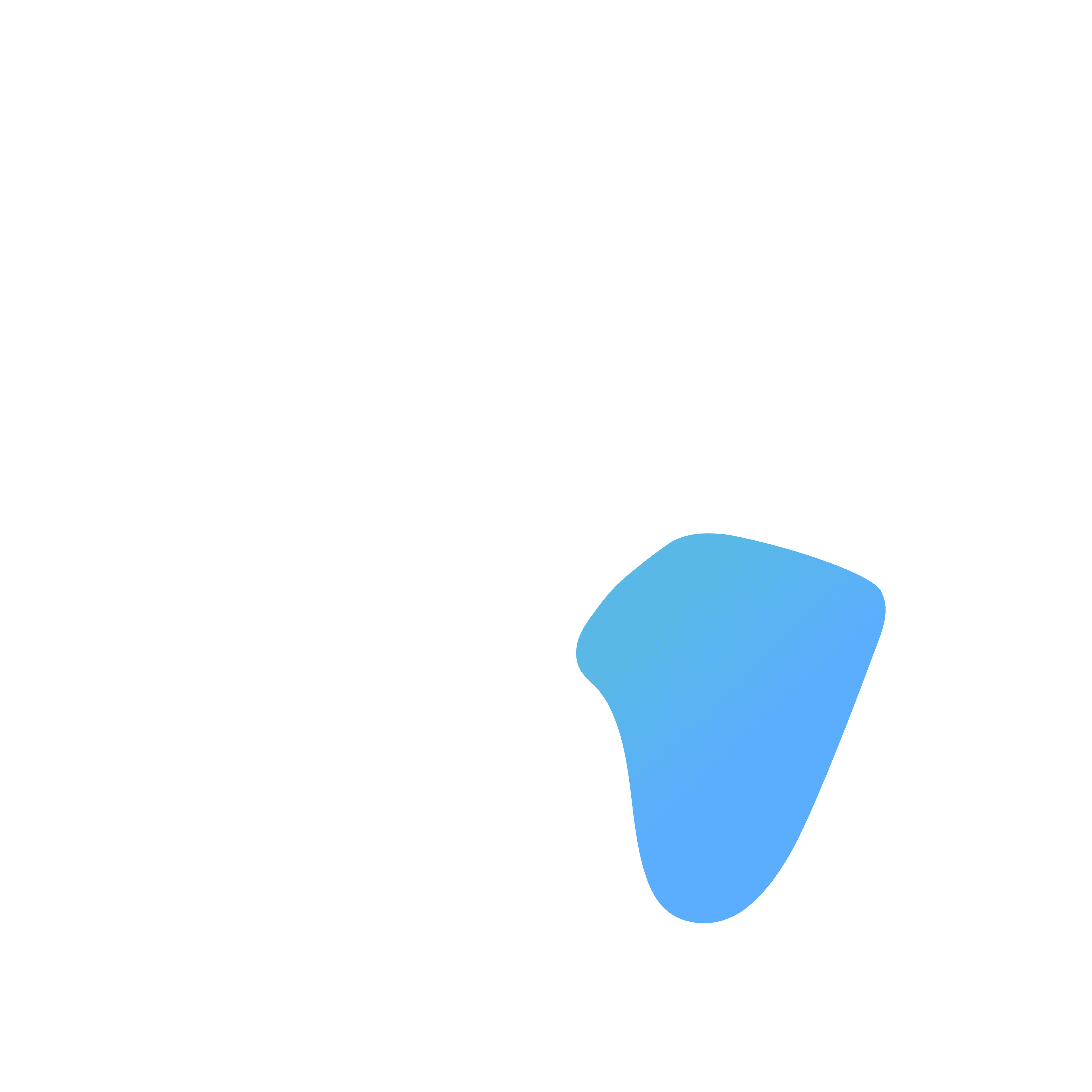 Foundation